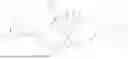 Fig. 144 - DLL3 TARGETING PEPTIDES AND CONSTRUCTS THEREOF