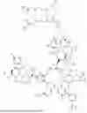 Fig. 162 - DLL3 TARGETING PEPTIDES AND CONSTRUCTS THEREOF