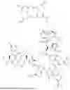 Fig. 168 - DLL3 TARGETING PEPTIDES AND CONSTRUCTS THEREOF