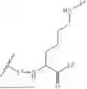 Fig. 17 - DLL3 TARGETING PEPTIDES AND CONSTRUCTS THEREOF