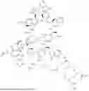 Fig. 179 - DLL3 TARGETING PEPTIDES AND CONSTRUCTS THEREOF