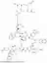 Fig. 205 - DLL3 TARGETING PEPTIDES AND CONSTRUCTS THEREOF