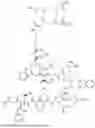 Fig. 206 - DLL3 TARGETING PEPTIDES AND CONSTRUCTS THEREOF