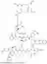 Fig. 208 - DLL3 TARGETING PEPTIDES AND CONSTRUCTS THEREOF