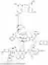 Fig. 211 - DLL3 TARGETING PEPTIDES AND CONSTRUCTS THEREOF