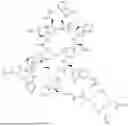 Fig. 235 - DLL3 TARGETING PEPTIDES AND CONSTRUCTS THEREOF
