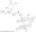 Fig. 240 - DLL3 TARGETING PEPTIDES AND CONSTRUCTS THEREOF