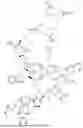 Fig. 242 - DLL3 TARGETING PEPTIDES AND CONSTRUCTS THEREOF