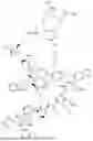 Fig. 243 - DLL3 TARGETING PEPTIDES AND CONSTRUCTS THEREOF