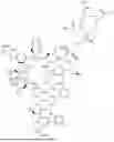 Fig. 255 - DLL3 TARGETING PEPTIDES AND CONSTRUCTS THEREOF