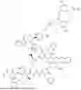 Fig. 260 - DLL3 TARGETING PEPTIDES AND CONSTRUCTS THEREOF
