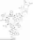 Fig. 275 - DLL3 TARGETING PEPTIDES AND CONSTRUCTS THEREOF