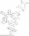Fig. 282 - DLL3 TARGETING PEPTIDES AND CONSTRUCTS THEREOF