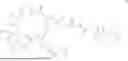 Fig. 29 - DLL3 TARGETING PEPTIDES AND CONSTRUCTS THEREOF