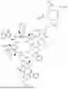 Fig. 292 - DLL3 TARGETING PEPTIDES AND CONSTRUCTS THEREOF