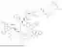 Fig. 302 - DLL3 TARGETING PEPTIDES AND CONSTRUCTS THEREOF