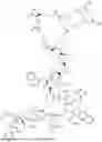 Fig. 311 - DLL3 TARGETING PEPTIDES AND CONSTRUCTS THEREOF