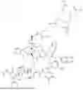 Fig. 314 - DLL3 TARGETING PEPTIDES AND CONSTRUCTS THEREOF