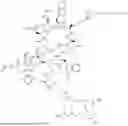 Fig. 323 - DLL3 TARGETING PEPTIDES AND CONSTRUCTS THEREOF
