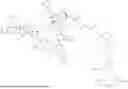Fig. 324 - DLL3 TARGETING PEPTIDES AND CONSTRUCTS THEREOF