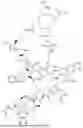 Fig. 328 - DLL3 TARGETING PEPTIDES AND CONSTRUCTS THEREOF