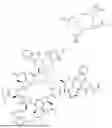 Fig. 330 - DLL3 TARGETING PEPTIDES AND CONSTRUCTS THEREOF