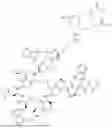 Fig. 331 - DLL3 TARGETING PEPTIDES AND CONSTRUCTS THEREOF