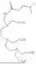 Fig. 351 - DLL3 TARGETING PEPTIDES AND CONSTRUCTS THEREOF
