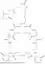 Fig. 383 - DLL3 TARGETING PEPTIDES AND CONSTRUCTS THEREOF
