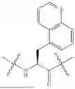 Fig. 411 - DLL3 TARGETING PEPTIDES AND CONSTRUCTS THEREOF