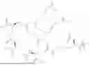 Fig. 449 - DLL3 TARGETING PEPTIDES AND CONSTRUCTS THEREOF