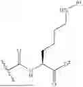 Fig. 46 - DLL3 TARGETING PEPTIDES AND CONSTRUCTS THEREOF
