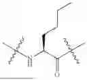 Fig. 475 - DLL3 TARGETING PEPTIDES AND CONSTRUCTS THEREOF