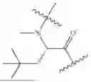 Fig. 485 - DLL3 TARGETING PEPTIDES AND CONSTRUCTS THEREOF