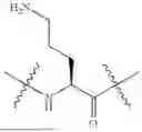 Fig. 488 - DLL3 TARGETING PEPTIDES AND CONSTRUCTS THEREOF
