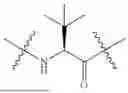 Fig. 496 - DLL3 TARGETING PEPTIDES AND CONSTRUCTS THEREOF