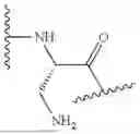 Fig. 504 - DLL3 TARGETING PEPTIDES AND CONSTRUCTS THEREOF