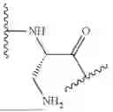Fig. 506 - DLL3 TARGETING PEPTIDES AND CONSTRUCTS THEREOF