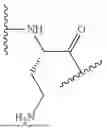 Fig. 507 - DLL3 TARGETING PEPTIDES AND CONSTRUCTS THEREOF