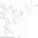 Fig. 521 - DLL3 TARGETING PEPTIDES AND CONSTRUCTS THEREOF