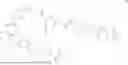 Fig. 527 - DLL3 TARGETING PEPTIDES AND CONSTRUCTS THEREOF