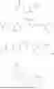 Fig. 529 - DLL3 TARGETING PEPTIDES AND CONSTRUCTS THEREOF