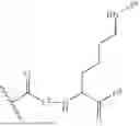 Fig. 540 - DLL3 TARGETING PEPTIDES AND CONSTRUCTS THEREOF
