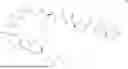 Fig. 543 - DLL3 TARGETING PEPTIDES AND CONSTRUCTS THEREOF