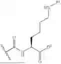 Fig. 549 - DLL3 TARGETING PEPTIDES AND CONSTRUCTS THEREOF