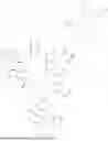 Fig. 558 - DLL3 TARGETING PEPTIDES AND CONSTRUCTS THEREOF