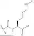 Fig. 62 - DLL3 TARGETING PEPTIDES AND CONSTRUCTS THEREOF