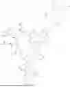 Fig. 707 - DLL3 TARGETING PEPTIDES AND CONSTRUCTS THEREOF