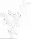 Fig. 729 - DLL3 TARGETING PEPTIDES AND CONSTRUCTS THEREOF