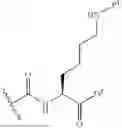 Fig. 78 - DLL3 TARGETING PEPTIDES AND CONSTRUCTS THEREOF
